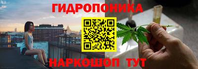 apvp Кинель