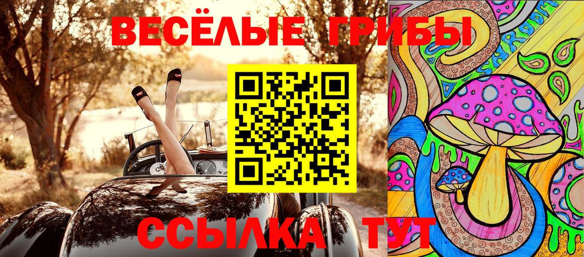 Псилоцибиновые грибы прущие грибы  Вход с VPN  купить  цена  Кингисепп 